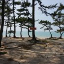 신안낚시터 이미지