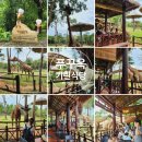 푸른건기 | 2026년 베트남 건기 필수 코스, 푸꾸옥 사파리 기린식당 예약 꿀팁 및 생생 후기