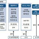 택시요금 비싼 일본에 무료 택시 등장!