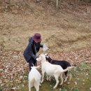 수곡목장 이미지