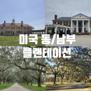 오크앨리 이미지