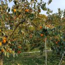 동트는농원 이미지