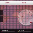 주식회사 이슈