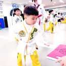 민족태권도전문도장 | 문흥동태권도 문산초태권도 문정초태권도 문우초태권도 문흥중앙초태권도 MTA민족태권도 &#34;&#34;