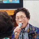 괴정1동할머니 Daum카페