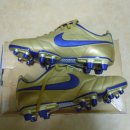 마이다스레전드 이미지