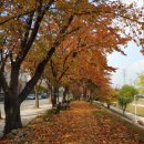 늠내길5코스 정왕둘레길 이미지