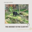가창 네이처파크 백사자 정보 아기와 다녀온 후기