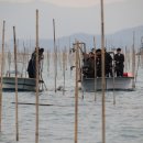 고금면-2 이미지