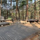 무릉계곡 힐링캠프장 이미지