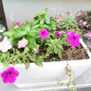 코코호도송내로데오점 이미지