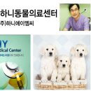 [150806/아시아뉴스통신]양천구 동물병원 24시 ‘하니동물의료센터’ 고양이중성화수술에 일가견 이미지
