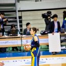 춘천호반체육관 이미지