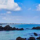 제주메이플호텔 이미지