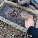 새온천탕 Daum카페