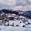 쑥티마을 이미지