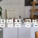 땅별꿈
