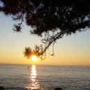 동백섬의 일출 이미지