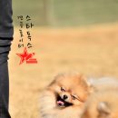 단비 이미지