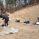 보람장묘개발