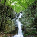 7월 13일 일요당일 -＜블랙야크100+/300명산＞- 영덕 팔각산/포항 동대산+비룡폭포 신청안내(28인승/31인승) 이미지