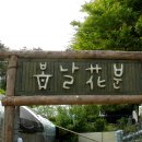 지나는길에 Daum카페