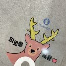 척신한의원 | 송파나루한의원, 재방문 하고 싶은 잠실 송파구한의원