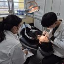 장항초등학교 이미지