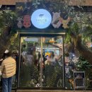 망고캣 | [인천 송도 놀거리] 테이블에이 앤 로우캣 동물원 데이트 후기