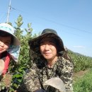 강소농장 이미지