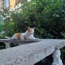 능동주민센터 이미지