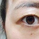 눈이편한안경콘택트 이미지