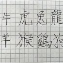 용지지 이미지