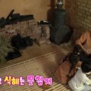 삼이네 펜션 이미지