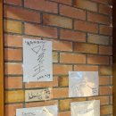 [대천/보령] 바닷가 칵테일 펍, 블루하와이 솔직후기!