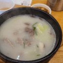 킹덤키즈-M 이미지