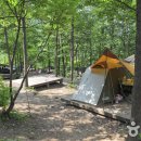 국립유명산자연휴양림 이미지