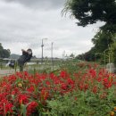 황룡강펜션게스트하우스 이미지