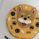 댕글로리 이미지