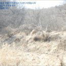 금남면 황용리