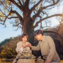 말하는 은행나무 이미지