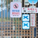 교동정보 | 경주박물관 근처 맛집 황리단길 교동순두부 주차 정보 및 솔직 후기