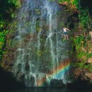 에스와이메드 이미지