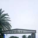 숲속의 컨벤션 이미지