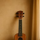 힐링 우쿨렐레 이미지