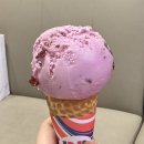 지엘티젤라또 | [홍대 젤라또 블루리본 맛집] glt젤라또 솔직 후기