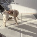 달콤체육관 이미지