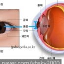 교남학교 이미지
