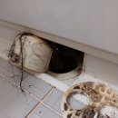 진사주공 네이버블로그