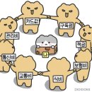 서초별빛약국 | 일상블로그:: 49. 별빛의 향과 맛을 본 것도 향기의 무게를 느낀 것도